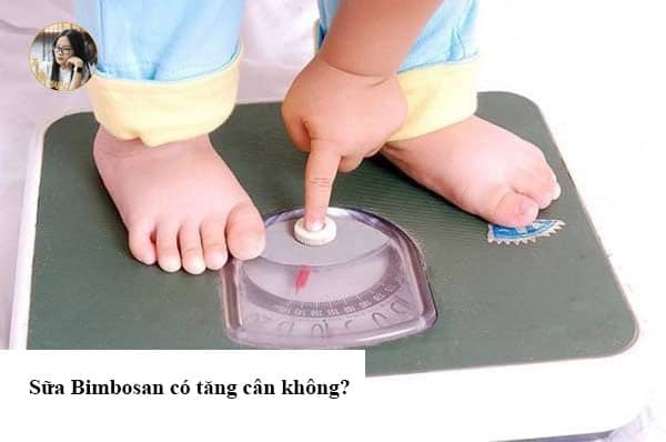 Bimbosan có tăng cân không