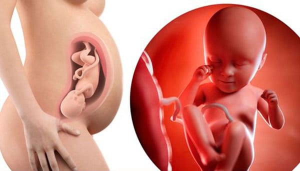 Sinh thường có chọn giờ không