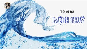 Tử vi bé mệnh thủy