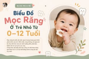 Biểu Đồ Mọc Răng Ở Trẻ Nhỏ