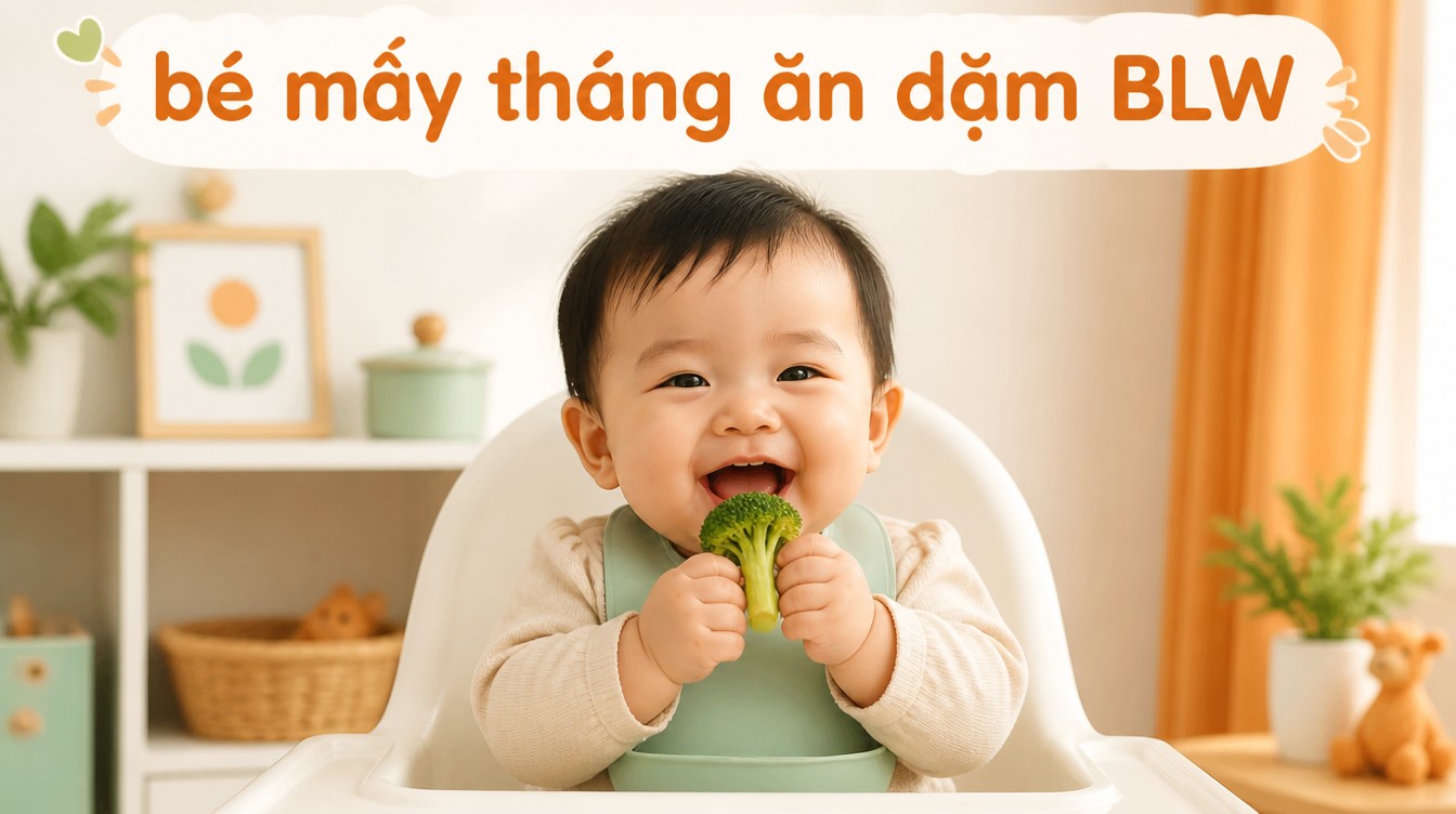 Bé Mấy Tháng Ăn Dặm BLW? Hướng Dẫn Toàn Tập Mẹ Không Thể Bỏ Qua