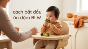 Cách Bắt Đầu Ăn Dặm BLW: 7 Bước Chuẩn Cho Mẹ Bỉm Mới